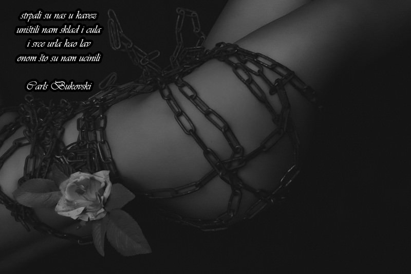 tumblr_pic9z5jtuT1xxw3y4o1_1280.jpg