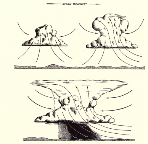 nemfrog:“Schematic diagram of a typical thunderstorm.” Cloud...