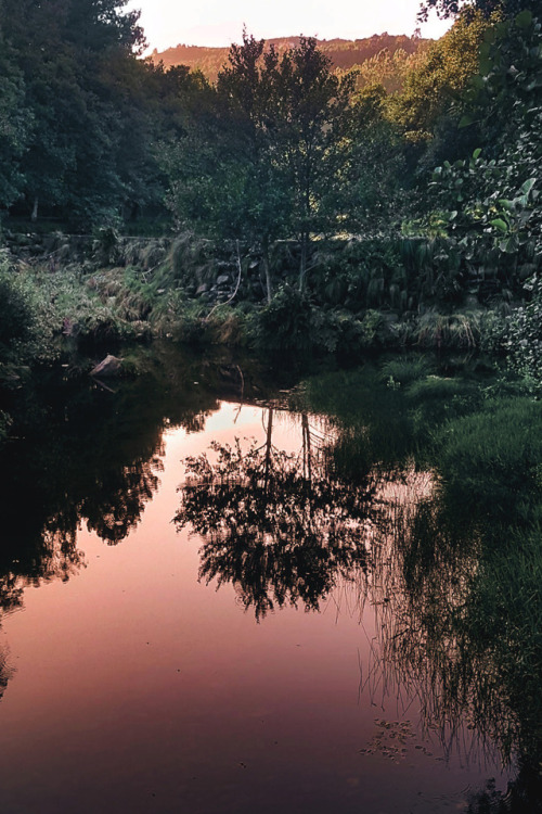 heaven-ly-mind:calm reflectionsCerva, Norte de PortugalTaken...