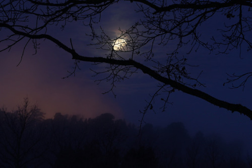 swedishlandscapes:Watching the supermoon on this cold and...