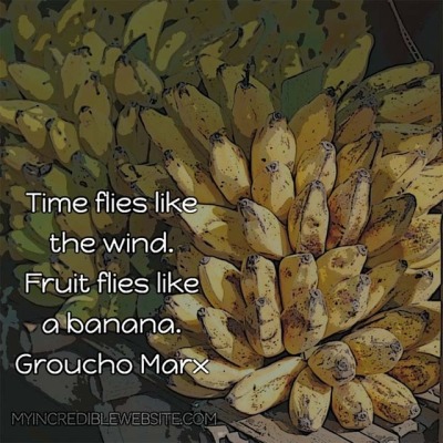 Fruit Flies Like A Banana Tumblr