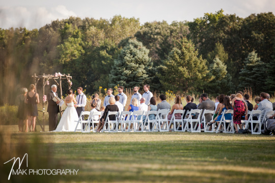 Mak Photography Crystal Lake Il Photographer Wedding Blog