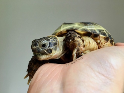 Sunday snuggles with Mom!  It may look like Mom’s hand is still...