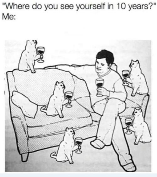 catasters