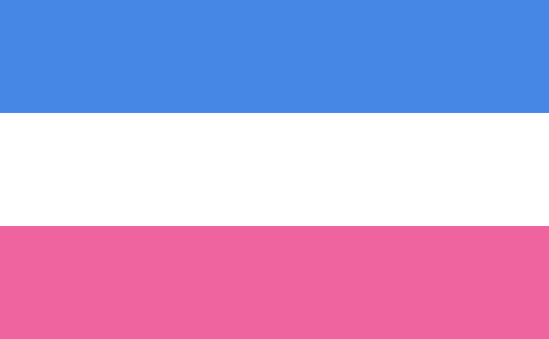 pink and blue gay flag meaning