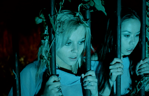 The Shiver of the Vampires (Jean Rollin, 1971)