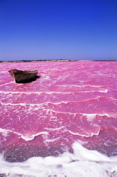 michael polizia lake natron tanzania michael polizia lake natron tanzania