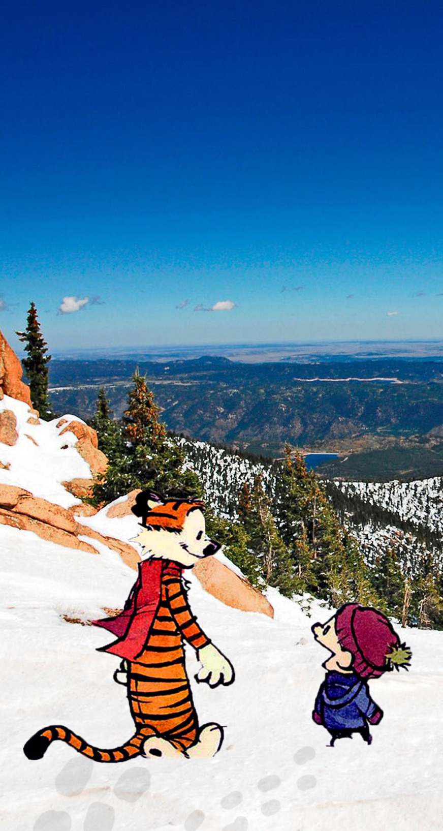 Real Calvin Hobbes Desktop Photos Real Calvin Hobbes Desktop Photos