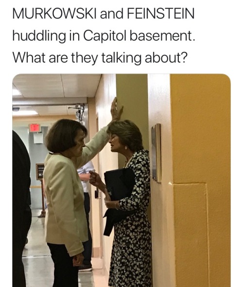 tockthewatchdog:murkowski: i am a big stinky coward feinstein:...