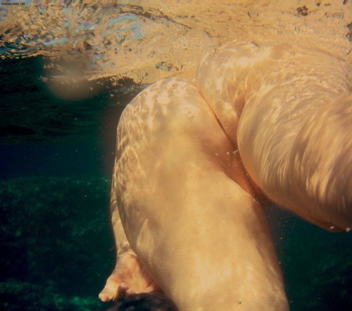 Nude underwater