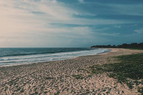 at Praia De Itacimirim. Bahia