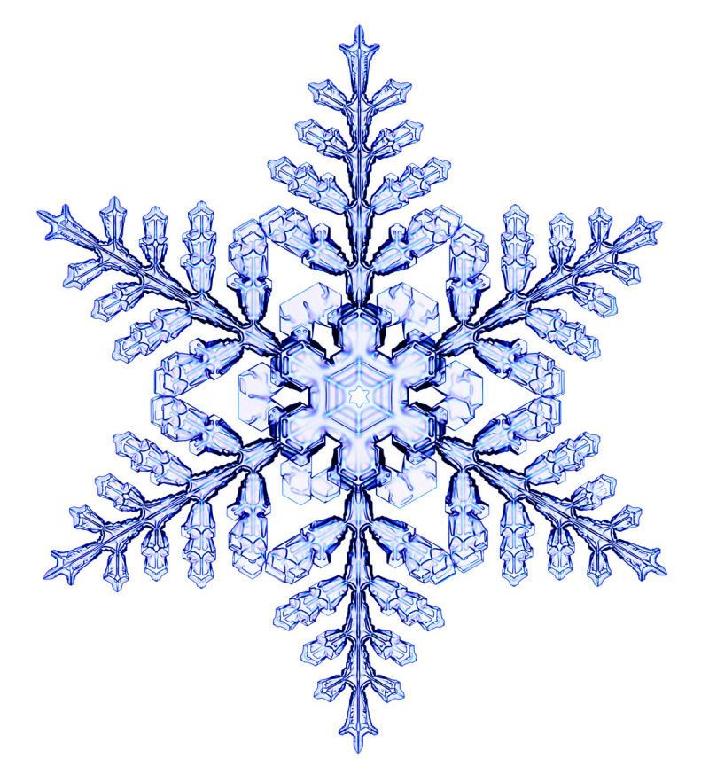 Today the Department of Awesome Snowflake... | Archie McPhee's Endless ...