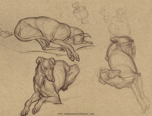 shannonscribbles