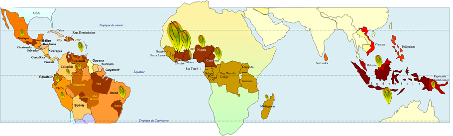Les pays producteurs de chocolat