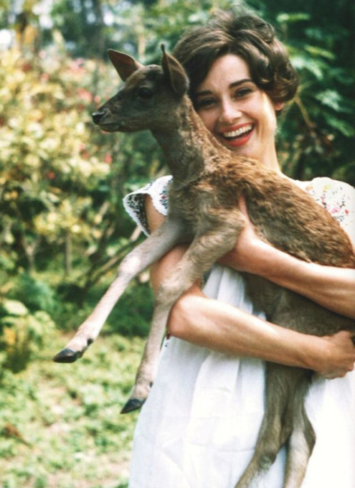 allthingsaudreyhepburn:Audrey with her pet Fawn.