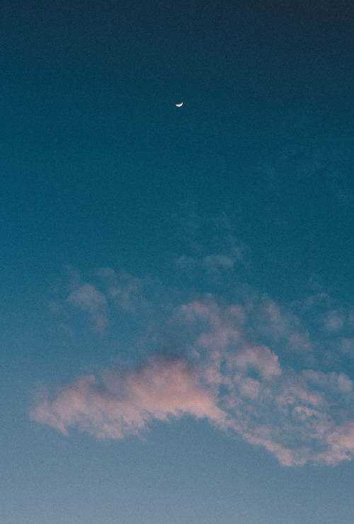 full moon on Tumblr