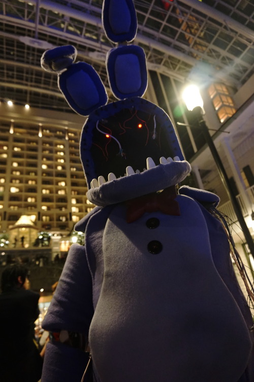 withered bonnie cosplay | Tumblr
