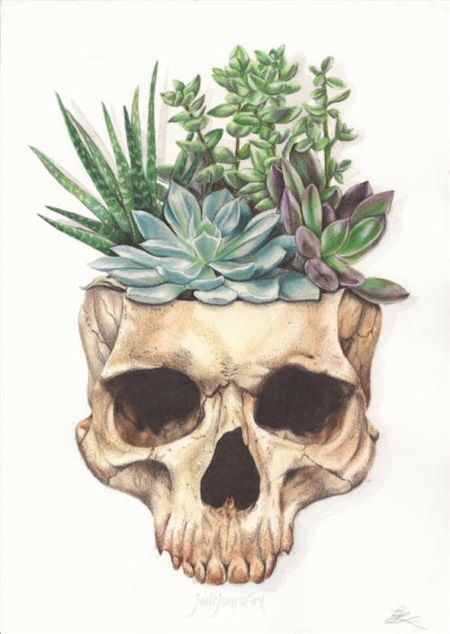 skull and succulents | Tumblr