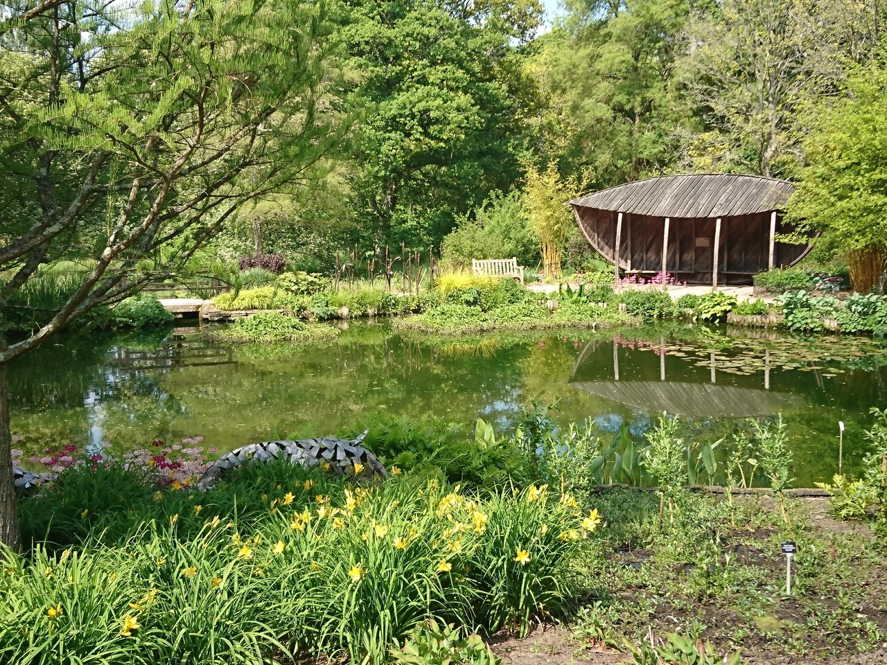 Hester's Plant Blog — The pond at Sir Harold Hillier Gardens, Romsey,...