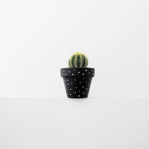 lesstalkmoreillustration:Hand Painted Plant Pots By...