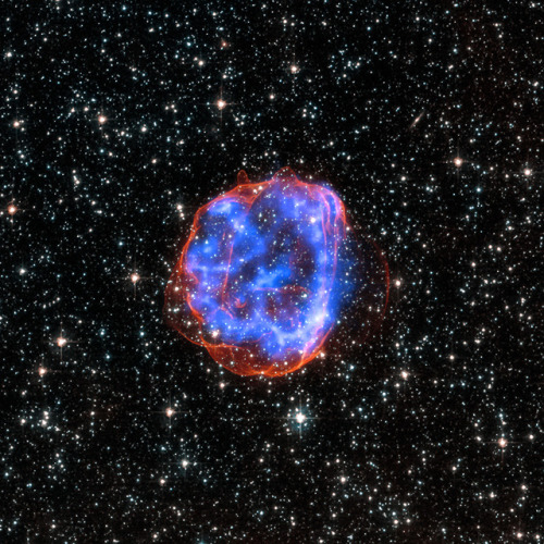 astronomyblog:When a massive star exploded in the Large...