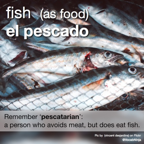 daily-spanish-word