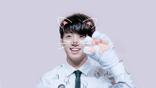 mostrecent kitty jung