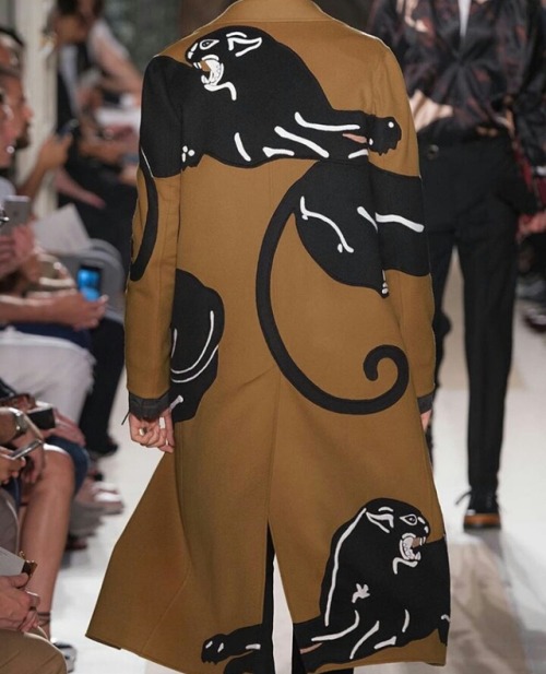 moda365:Cats in Fashion, Valentino coat