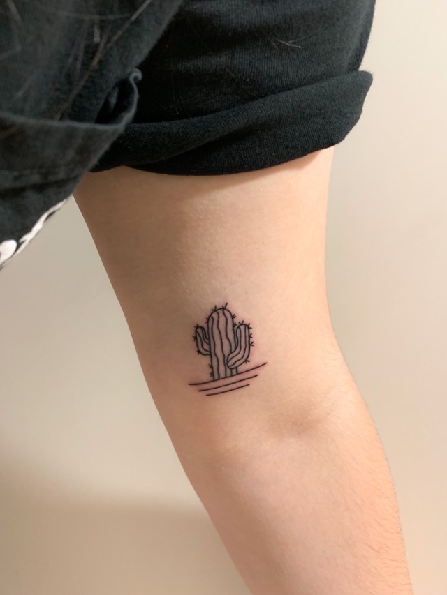 46 Free Tattoo Simple Cactus Idea Tattoo Images