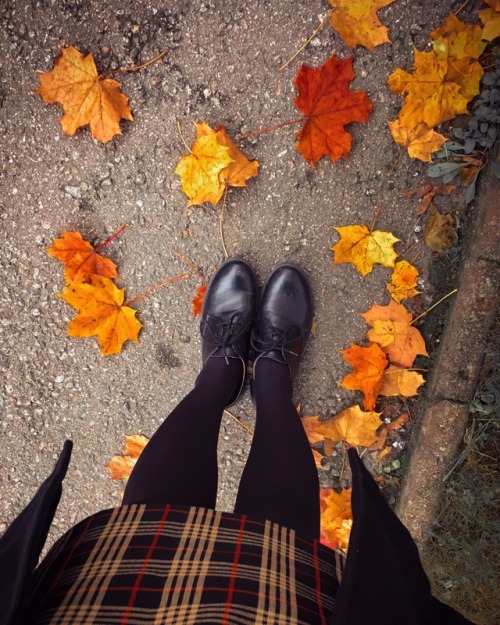 jerianie:Favorite autumn looks so far 