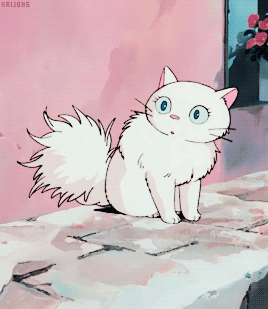 Discover 70 anime white cat gif  induhocakina