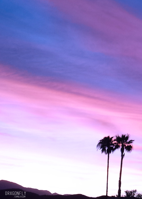 drxgonfly:Purple sunset by drxgonflyplease do not remove the...