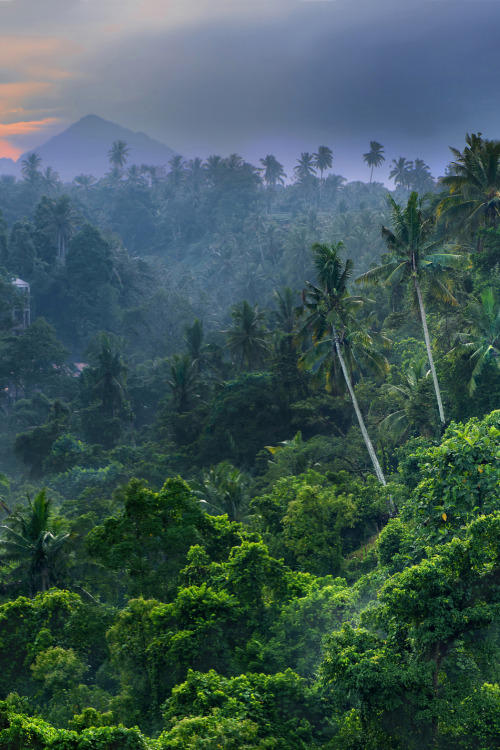 earth-land:Bali - IndonesiaBali, the famed Island of the...