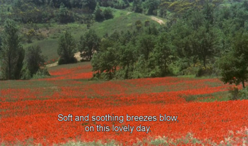 freshmoviequotes:Brother Sun, Sister Moon (1972)