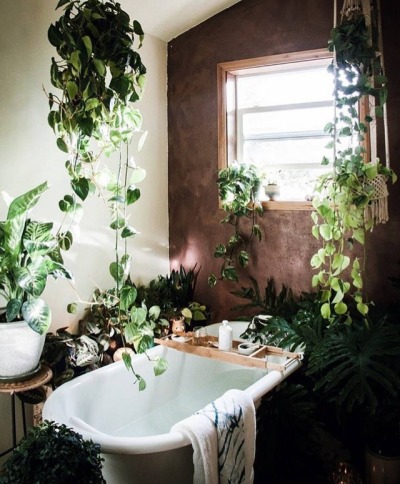 Green bathroom 