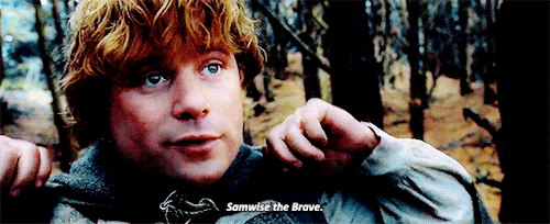 Image result for samwise the brave gif