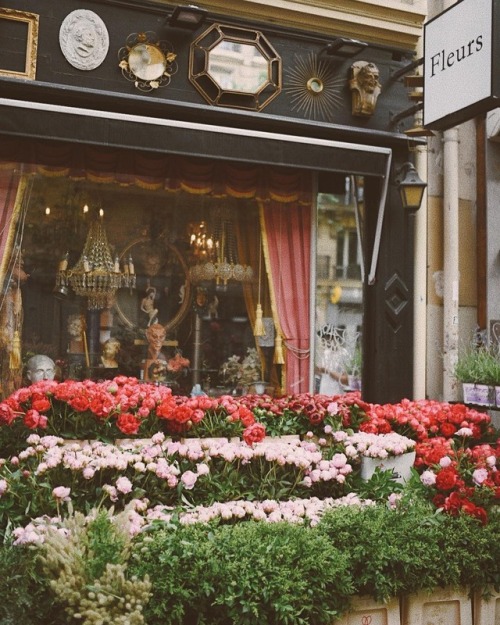 myfairylily:Flower shop in Rue Ledru-Rollin, Paris |...