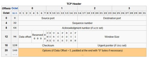 A TCP header diagram