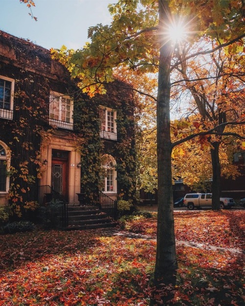 bookofoctober:Autumn in Montreal. Photos by karlvibes