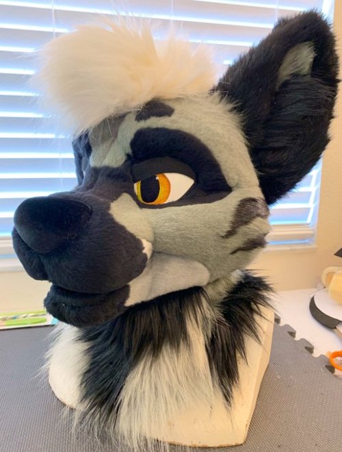 fursuitpursuits:RT @FursuitsByLacy: Rooks hyena is ready for...