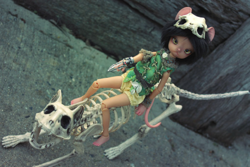 bjd dollzone miss kitty dollzone halloween mouse girl mydolls