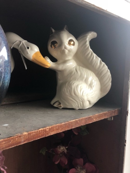 shiftythrifting:Found a little shop of horrors in Virginia.