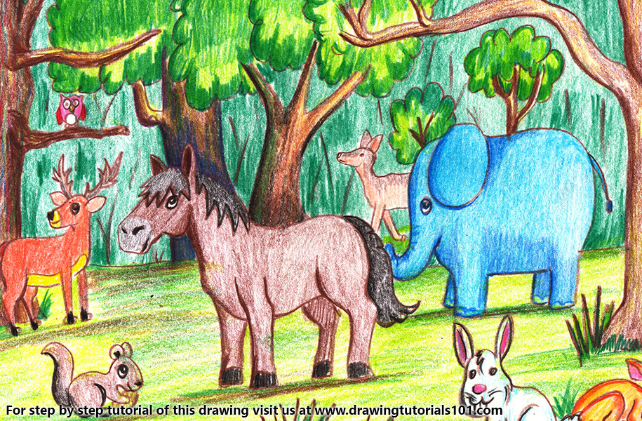 DrawingTutorials101.com • Forest with Animals