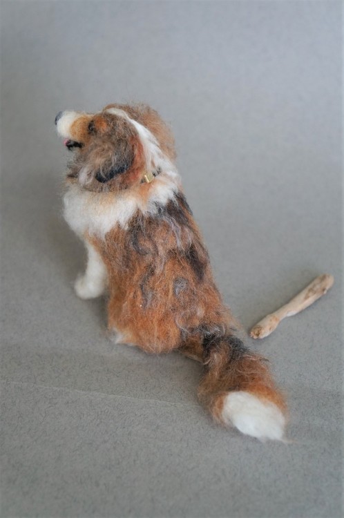 janetsneedlefelting:A needle fetled Aussie Sheltie mix with a...