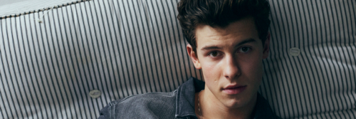 @shawn icons.