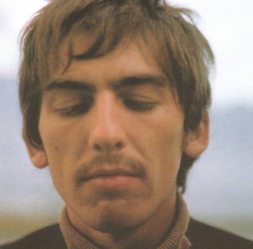 grotty-beatles:reblog for george harrison eyebrow