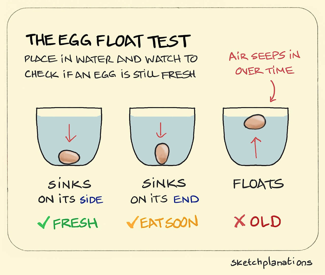 The Egg Float Test Together And With The Help