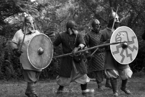 polarvargen:Garz Viking fight 2013 nr 11 by ~SandyXD