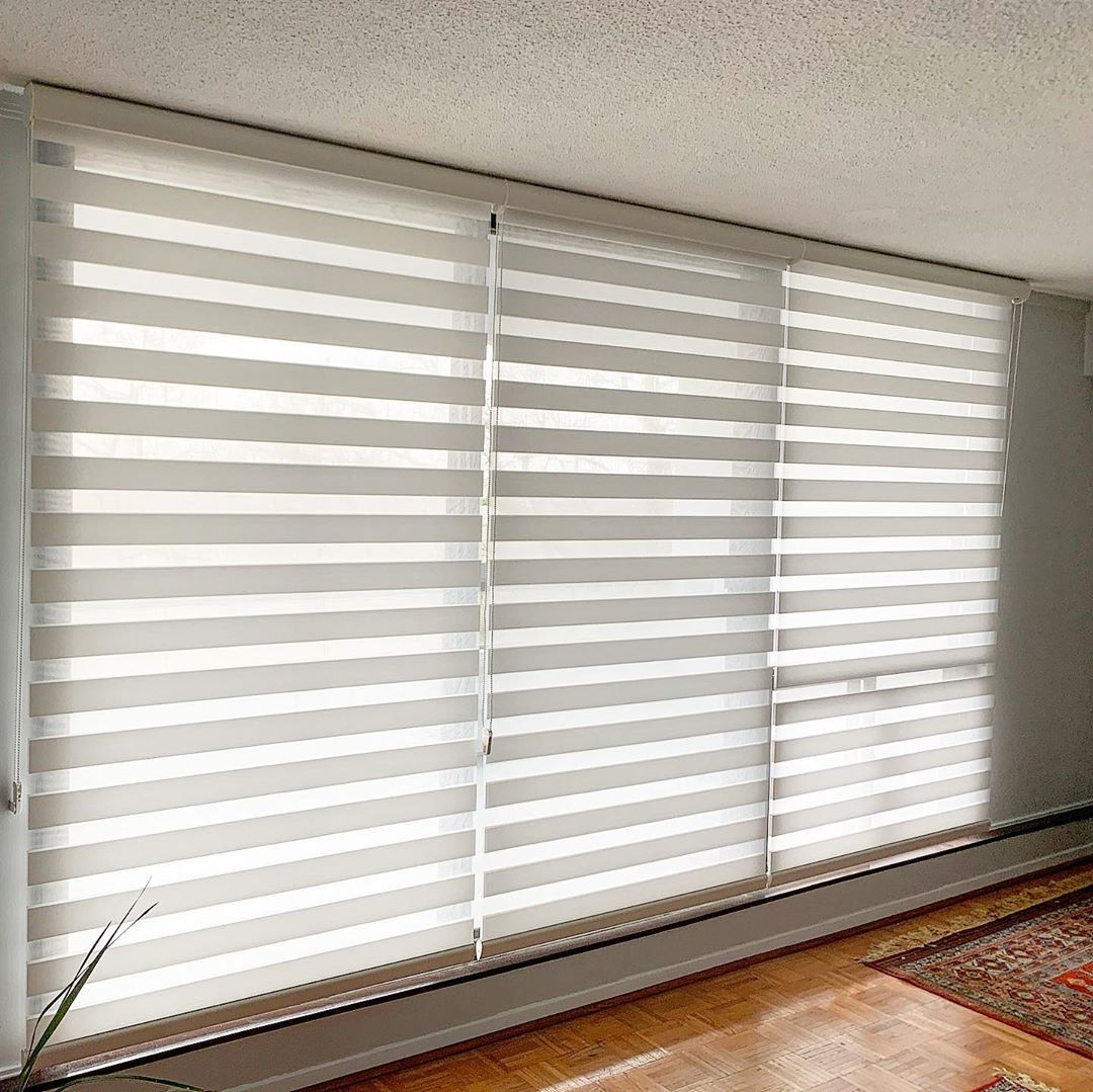 zebra blinds pros and cons