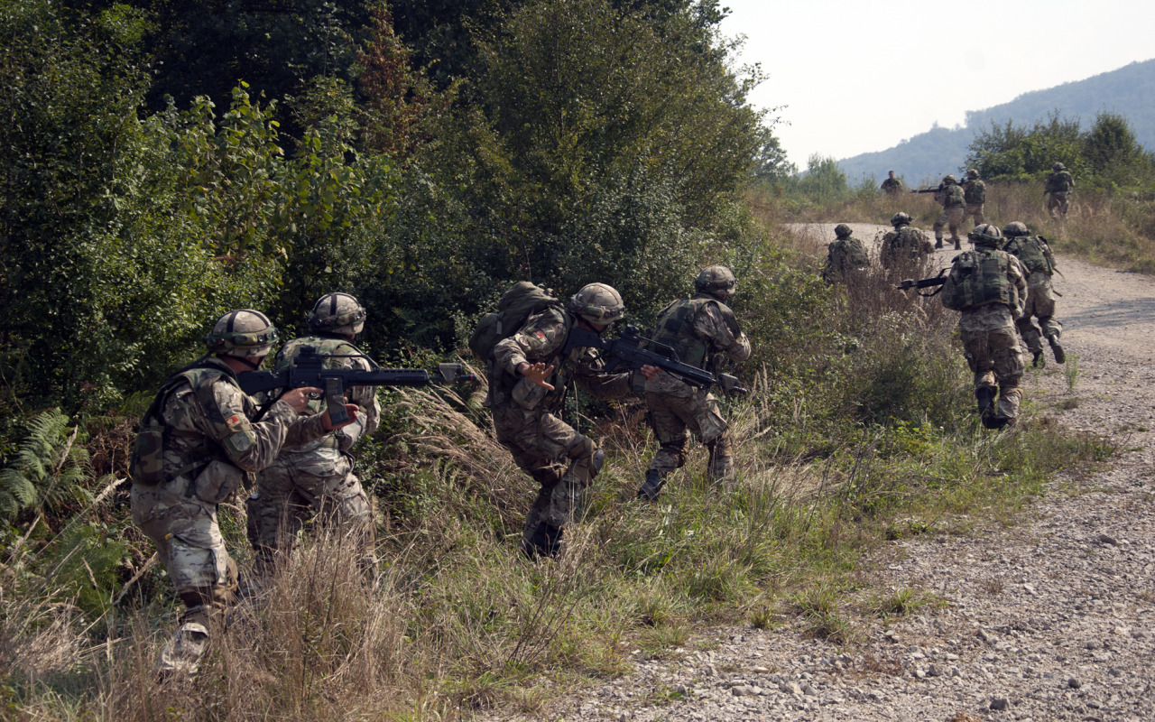 Military Armament | Montenegrin Army soldiers from the 1st Infantry...